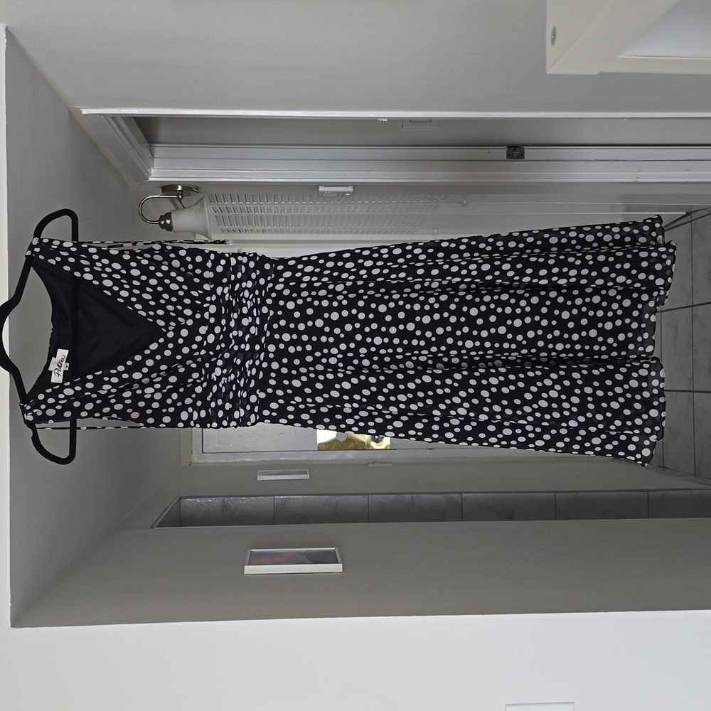 Petra polka dot silk dress in size 6